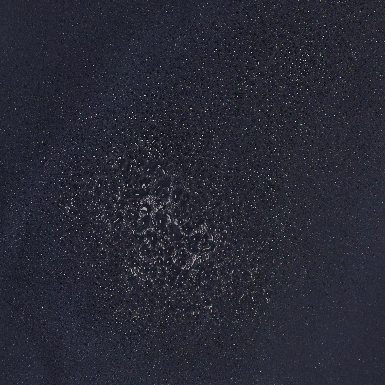 Gewatteerde donsjas met kap en rits