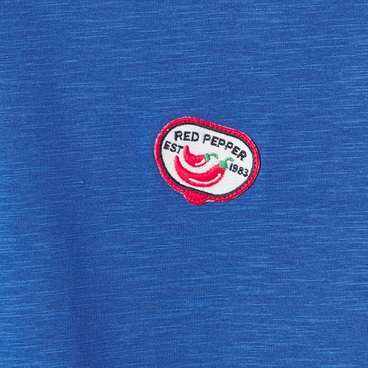 Tee shirt mati&egrave;re flamm&eacute;e broderie poitrine