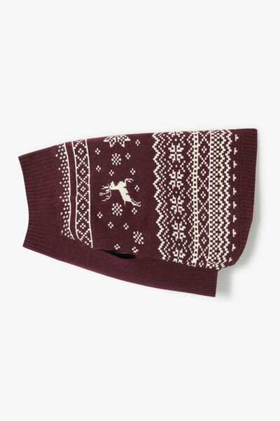 Pull pour chien No&euml;l