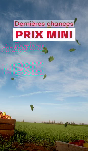 Dernières chances prix mini