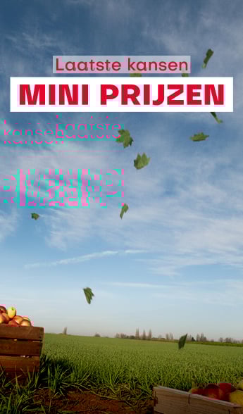 Laatste kansen mini prijzen